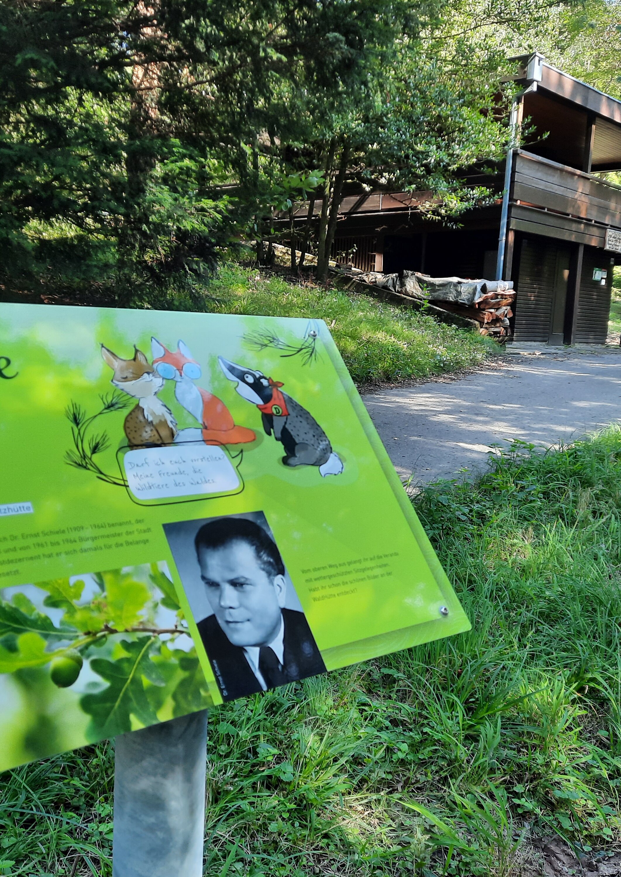 Das Bild zeigt eine Infotafel des Pfades "WaldWelt".