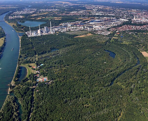 Luftaufnahme vom Rheinstrandbad
