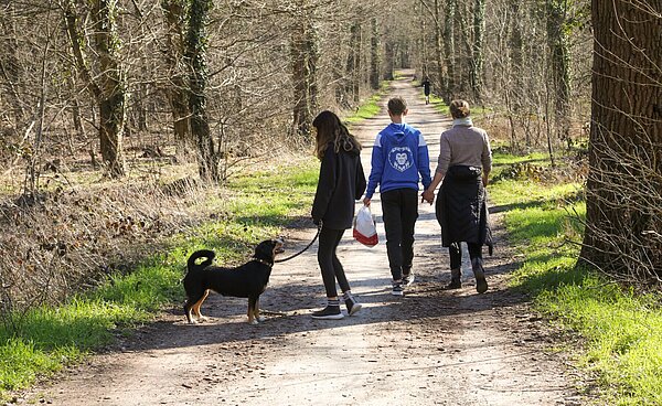 Spaziergänger im Oberwald Karlsruhe