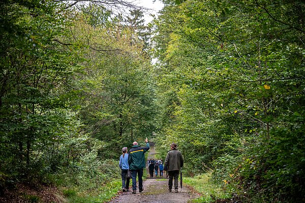 Personen laufen auf Waldweg
