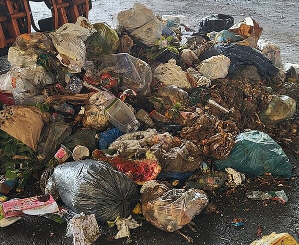 Ergebnisse Bioabfallsortieranalyse