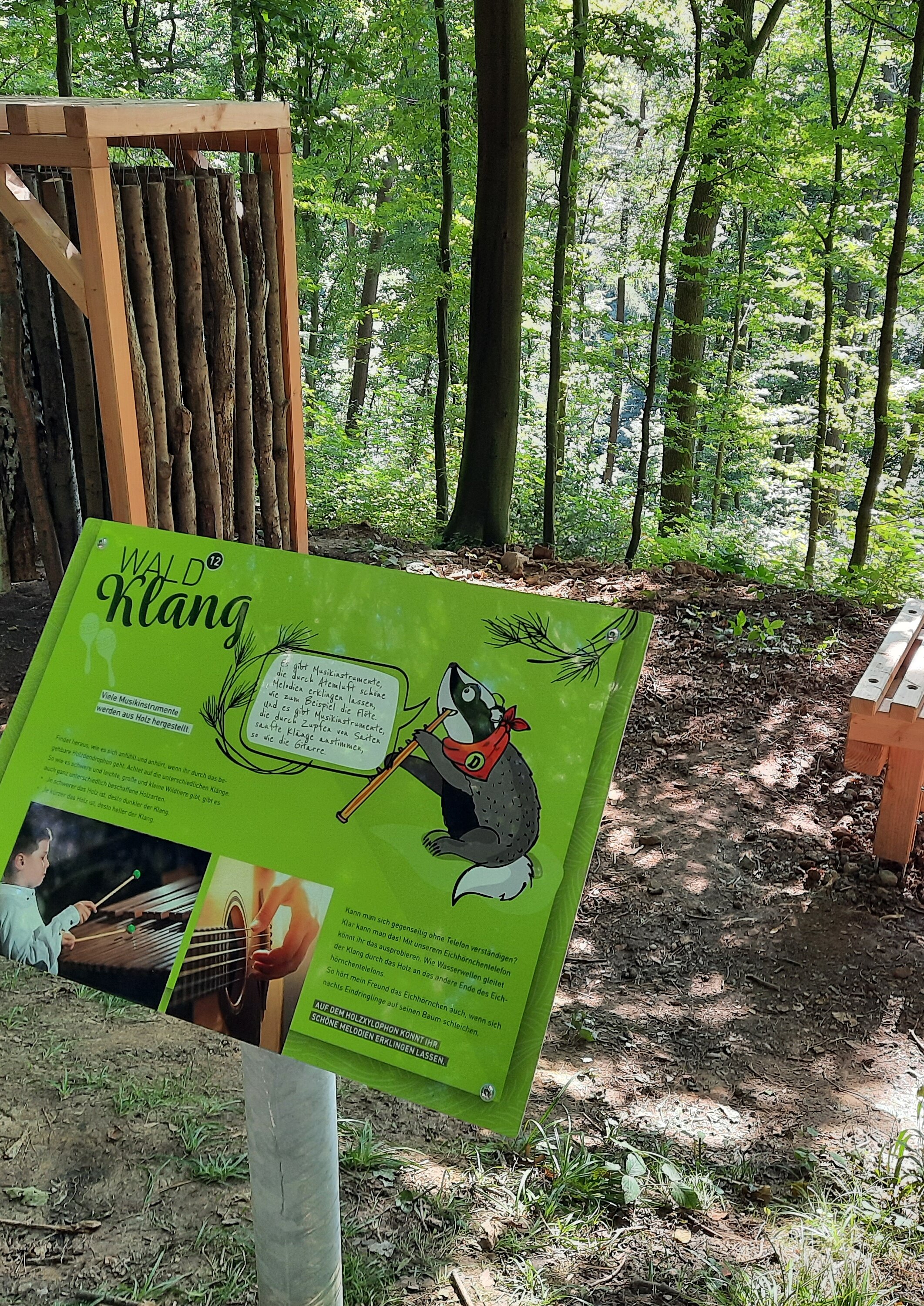 Das Bild zeigt die Station Waldklang des Pfades "WaldWelt".
