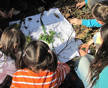Kinder lernen die Natur kennen