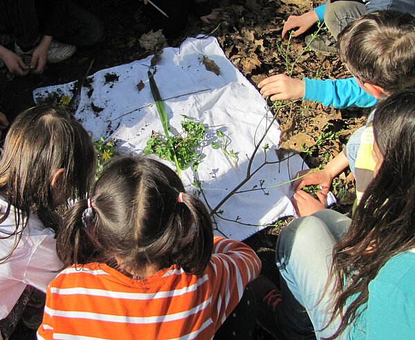 Kinder lernen die Natur kennen