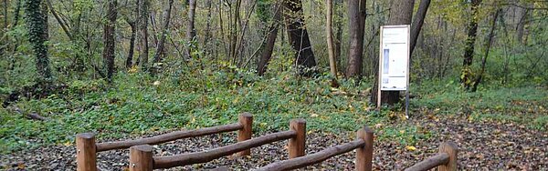 Das Bild zeigt die Hürdenlaufstation im Waldsportpfad Daxlanden.