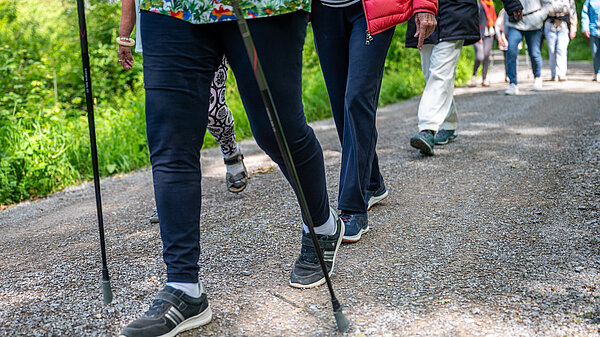 Personen im Wald, die spazieren gehen