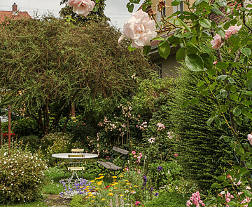 Blick in einen Garten mit Sitzplatz