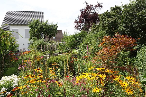 Strukturreiche Staudenpflanzung in einem Karlsruher Privatgarten
