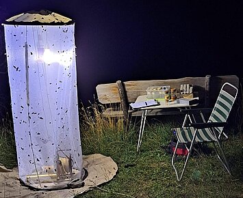 Nachts im Garten: "Artenvielfalt am Leuchtturm"