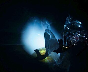 Double Take: Hanna Woll und Anika Hirt