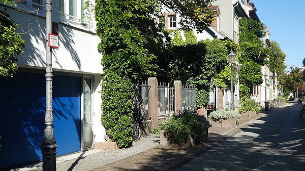 Das Bild zeigt eine begrünte Fassade.