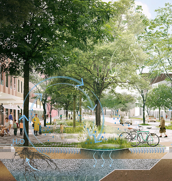 Visualisierung von einem Platz mit Bäumen sowie schematisch der Wirkweise von Versickerung und Verdunstung. 