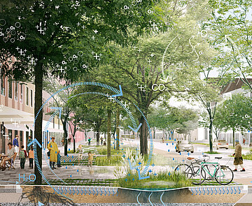 Visualisierung von einem Platz mit Bäumen sowie schematisch der Wirkweise von Versickerung und Verdunstung. 