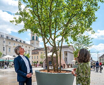 OB Dr. Frank Mentrup und seine Referentin Ulrike Höltzel überzeugen sich von der Schattenwirkung der neuen Marktplatz-Begrünung.