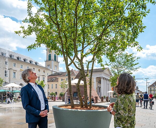 OB Dr. Frank Mentrup und seine Referentin Ulrike Höltzel überzeugen sich von der Schattenwirkung der neuen Marktplatz-Begrünung.