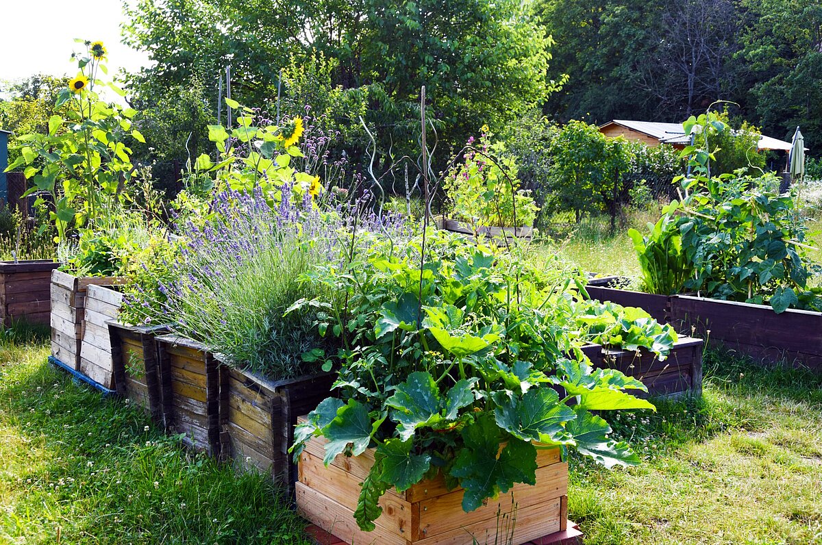 Karlsruher Stadtgärten: Grüne Oasen selber gestalten