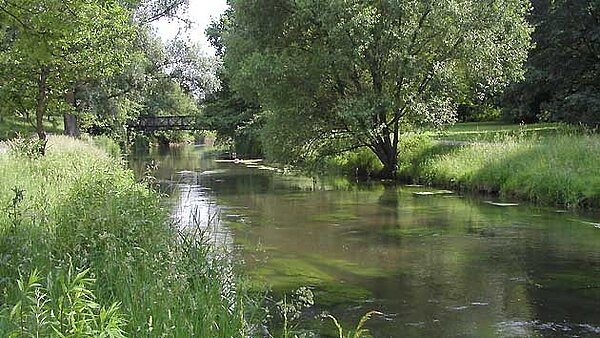 Das Bild zeigt einen Abschnitt des Flusses Alb.