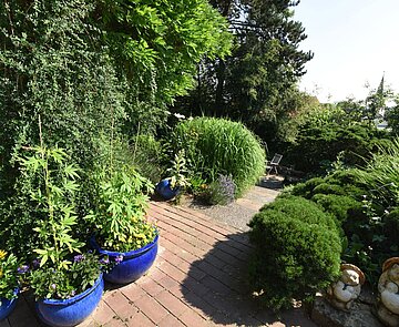 Terasse mit Pflanzen