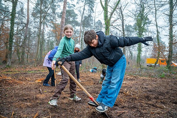 Baumpflanzaktion 2025/26 - 04