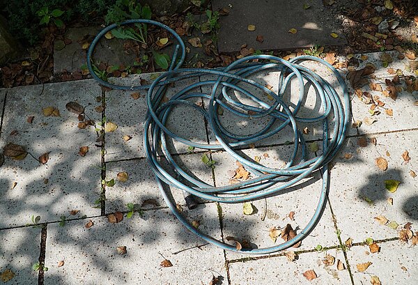 Gehwegplatten im Garten mit Gartenschlauch