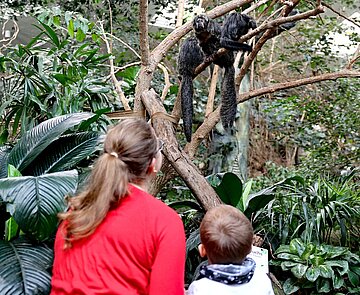 Der Zoologische Stadtgarten Karlsruhe hat 2024 so viele Menschen wie noch nie begrüßen dürfen. Insgesamt konnten 1.103.824 Eintritte gezählt werden. 