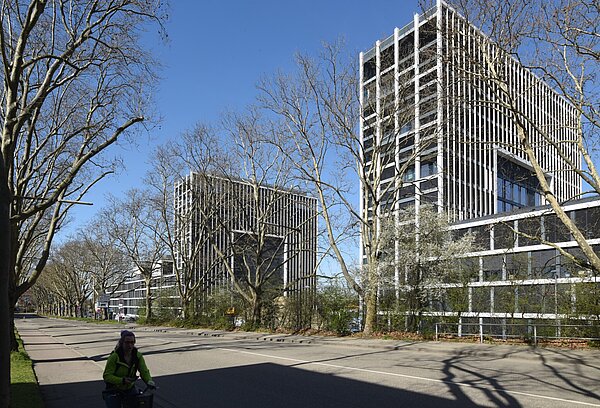 Hauptbahnhof Süd Entwicklungsareal