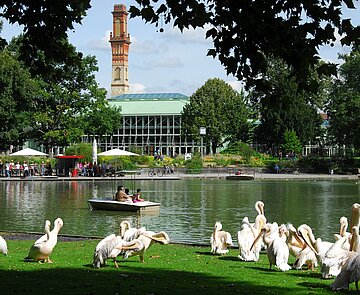 das Haushaltsdefizit hat auch Auswirkungen auf den Zoo.