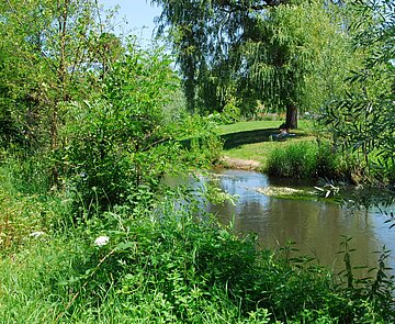 Die Alb mit Wiesen, Büschen und Bäumen.
