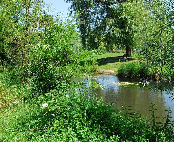 Die Alb mit Wiesen, Büschen und Bäumen.