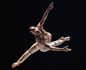 Bulbul rising: Der Seele Flügelschlag