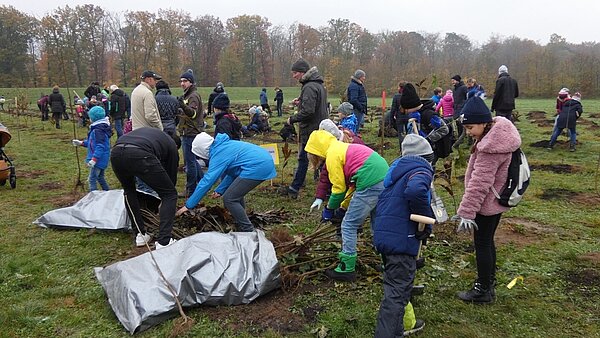 Personen, die Bäume pflanzen