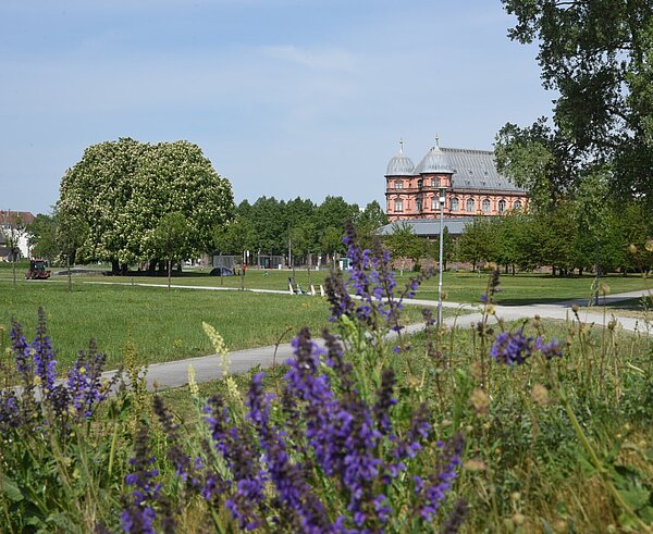 Otto-Dullenkopf-Park