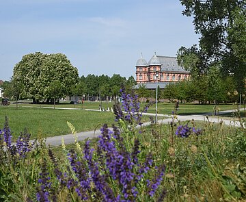 Otto-Dullenkopf-Park