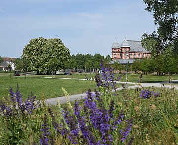 Otto-Dullenkopf-Park