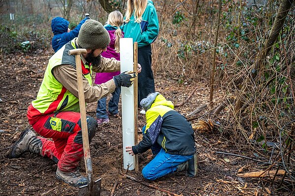 Baumpflanzaktion 2025/26 - 07