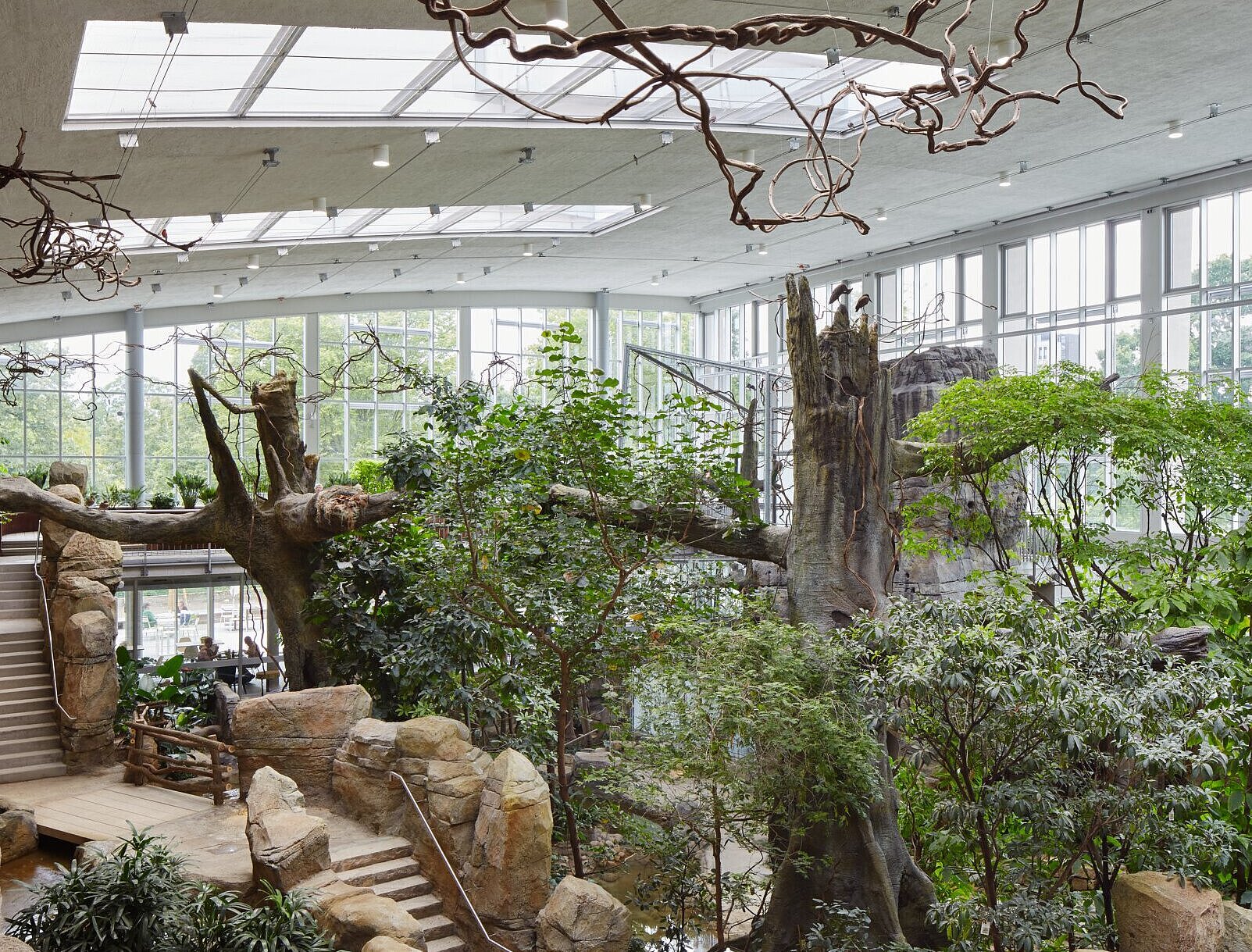 Zu sehen ist die tropische Tier-und Pflanzenlandschaft für die Affen und Vögel mit einem Panoramaweg.