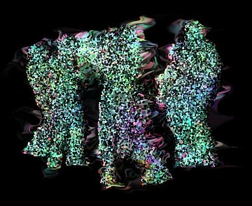 dm Award Gewinner 2024