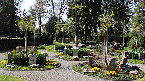 Grabareal Hauptfriedhof Gingko-Garten
