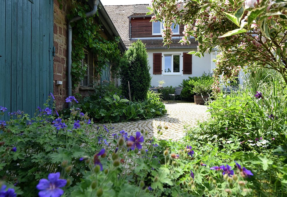Urbaner Garten