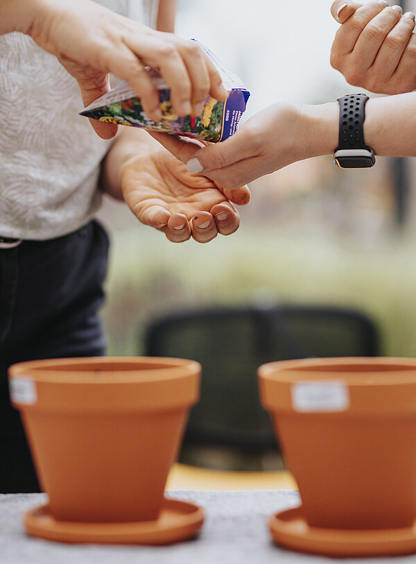 Jemand schüttet einer anderen Person Samen aus einem Tütchen in die Hand.