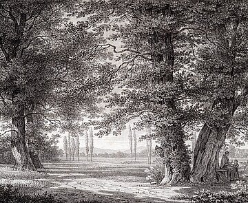 ,,Auf dem Weg nach Beiertheim"heißt das 1856 von F. von Stockhorn gemalte Bild. Es gibt einen guten Eindruck davon, wie das Gebiet, das heute noch Beiertheimer Wäldchen heißt, damals ausgesehen hat.