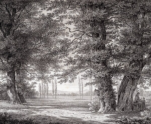 ,,Auf dem Weg nach Beiertheim"heißt das 1856 von F. von Stockhorn gemalte Bild. Es gibt einen guten Eindruck davon, wie das Gebiet, das heute noch Beiertheimer Wäldchen heißt, damals ausgesehen hat.