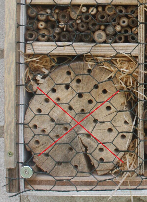 Falsch gebautes Insektenhotel