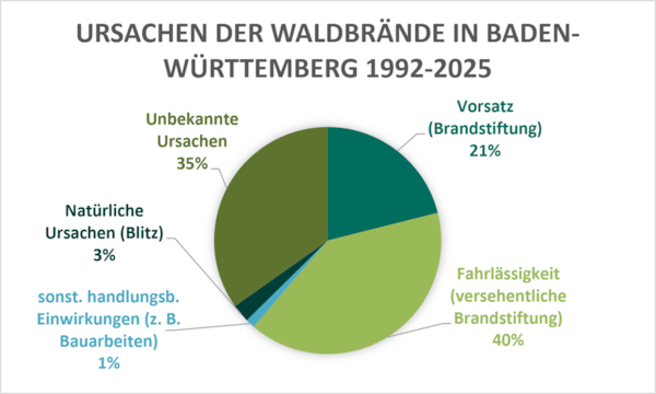 Grafik mit den Ursachen der Waldbrände in Baden-Württemberg 1992-2025
