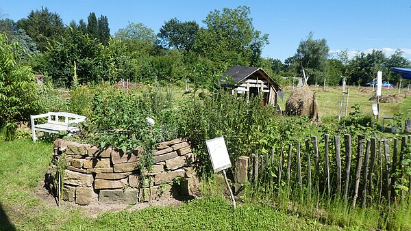 Mitmach-Garten