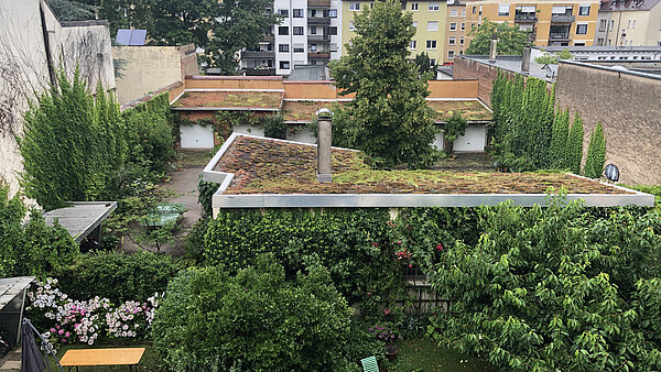 Gemeinschaftlich begrünter Innenhof in der Südstadt