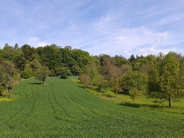 Blick auf die Taglöhnergärten