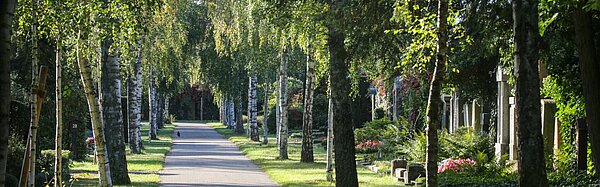 Baumallee auf dem Hauptfriedhof Karlsruhe