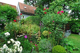 Ein mit bunten Blumen und anderen Pflanzen bewachsener Garten