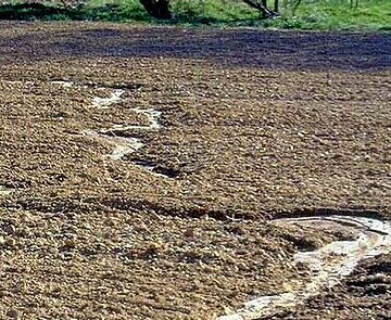 Das Bild zeigt einen Ausschnitt eines landwirtschaftlich genutzten Bodens.